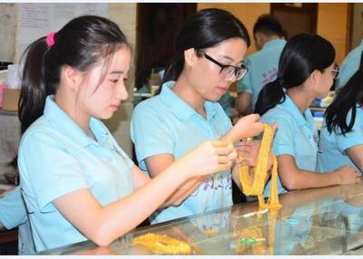 打造吨级黄金K金首饰批发航母 水贝国际珠宝交易中心的崛起与未来